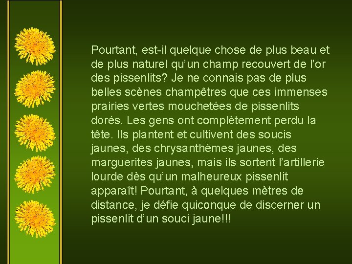 Pourtant, est-il quelque chose de plus beau et de plus naturel qu’un champ recouvert