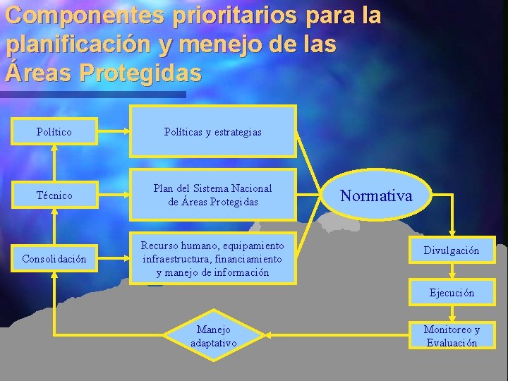 Componentes prioritarios para la planificación y menejo de las Áreas Protegidas Político Políticas y