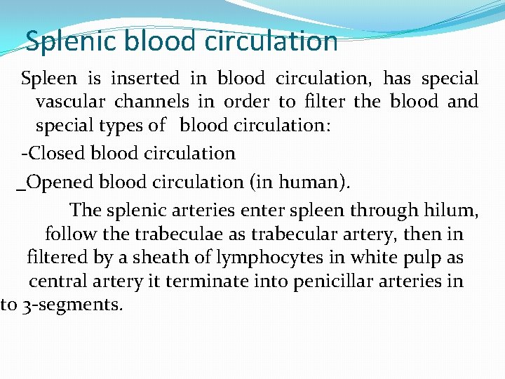 Splenic blood circulation Spleen is inserted in blood circulation, has special vascular channels in Splenic blood circulation Spleen is inserted in blood circulation, has special vascular channels in