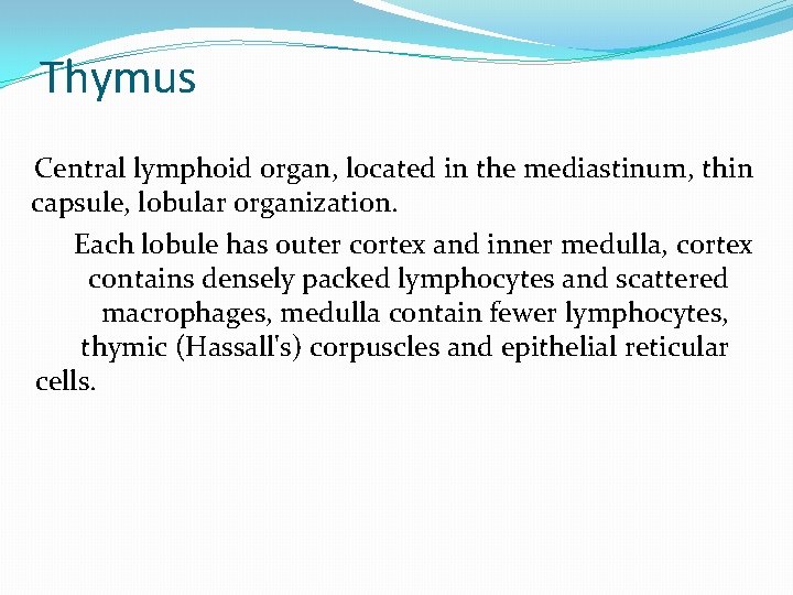 Thymus Central lymphoid organ, located in the mediastinum, thin capsule, lobular organization. Each lobule Thymus Central lymphoid organ, located in the mediastinum, thin capsule, lobular organization. Each lobule