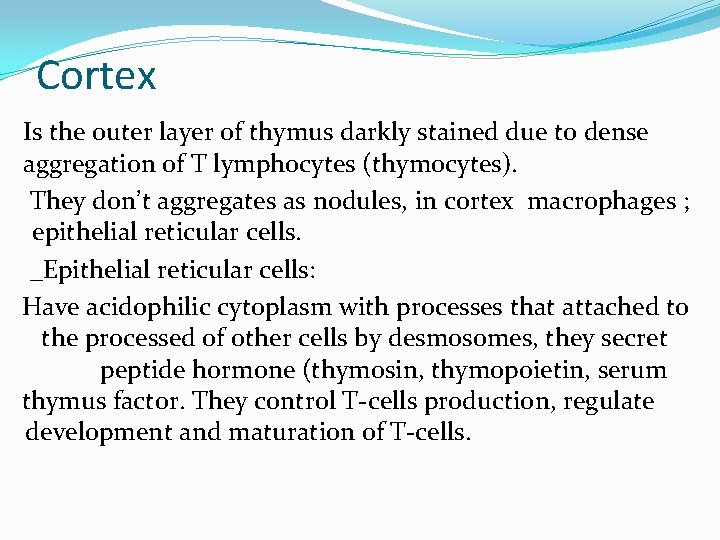 Cortex Is the outer layer of thymus darkly stained due to dense aggregation of Cortex Is the outer layer of thymus darkly stained due to dense aggregation of