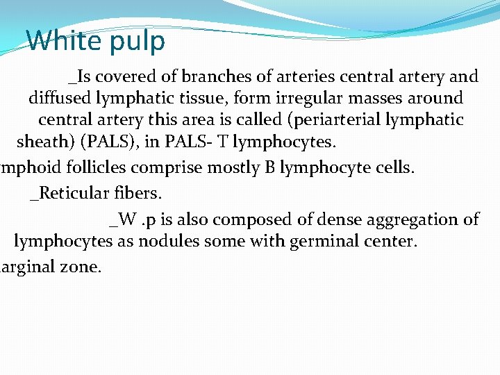 White pulp _Is covered of branches of arteries central artery and diffused lymphatic tissue, White pulp _Is covered of branches of arteries central artery and diffused lymphatic tissue,