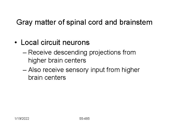 Gray matter of spinal cord and brainstem • Local circuit neurons – Receive descending