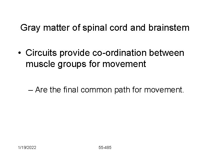 Gray matter of spinal cord and brainstem • Circuits provide co-ordination between muscle groups