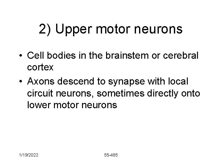 2) Upper motor neurons • Cell bodies in the brainstem or cerebral cortex •