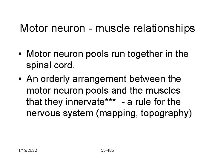 Motor neuron - muscle relationships • Motor neuron pools run together in the spinal