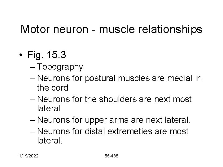 Motor neuron - muscle relationships • Fig. 15. 3 – Topography – Neurons for