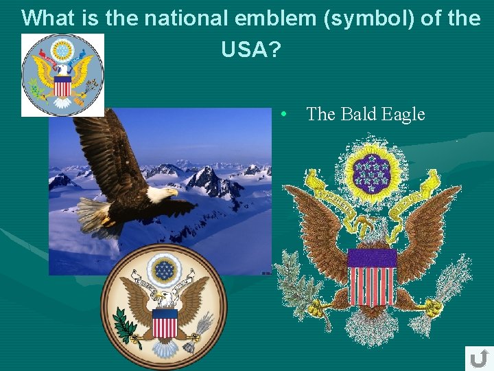 What is the national emblem (symbol) of the USA? • The Bald Eagle What is the national emblem (symbol) of the USA? • The Bald Eagle