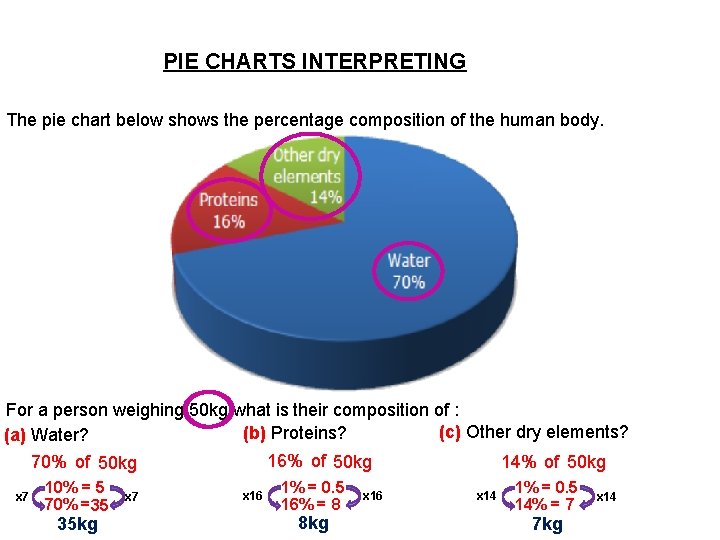 PIE CHARTS INTERPRETING The pie chart below shows the percentage composition of the human PIE CHARTS INTERPRETING The pie chart below shows the percentage composition of the human