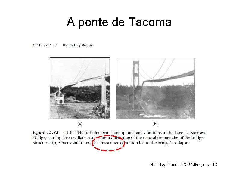 A ponte de Tacoma Halliday, Resnick & Walker, cap. 13 
