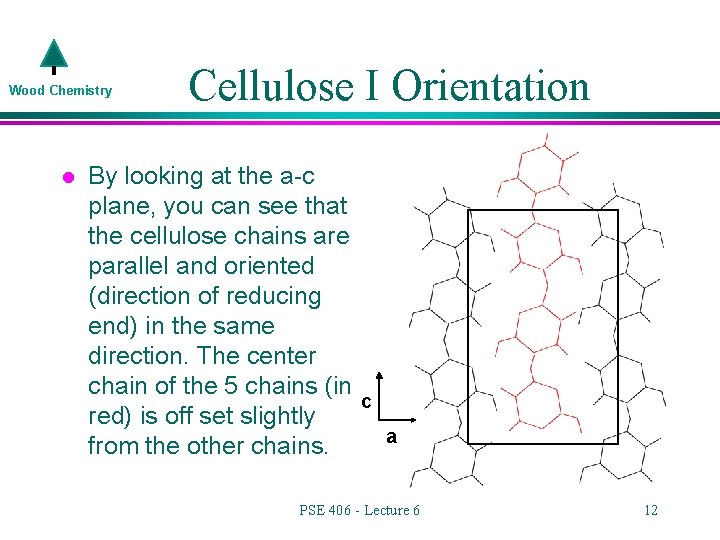 Wood Chemistry l Cellulose I Orientation By looking at the a-c plane, you can