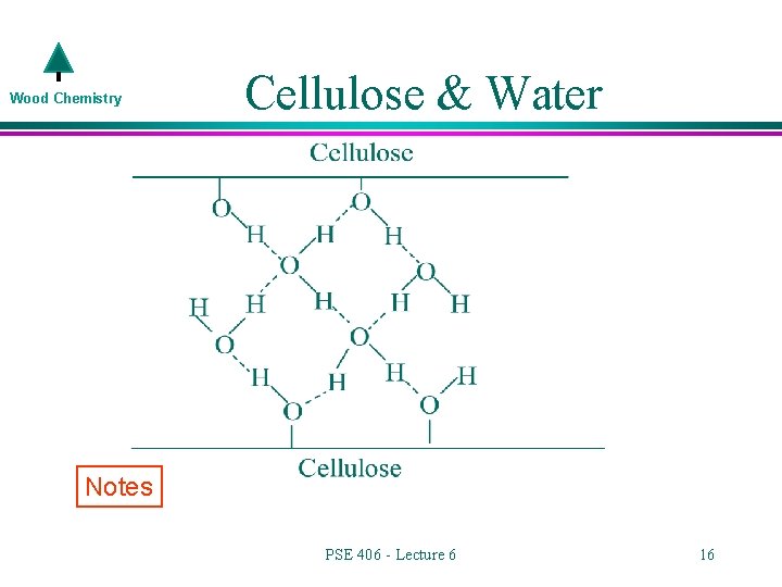 Wood Chemistry Cellulose & Water Notes PSE 406 - Lecture 6 16 
