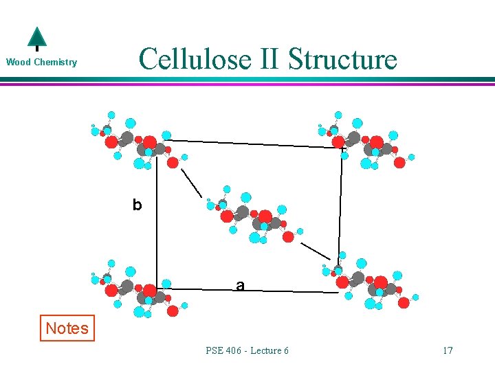 Wood Chemistry Cellulose II Structure b a Notes PSE 406 - Lecture 6 17