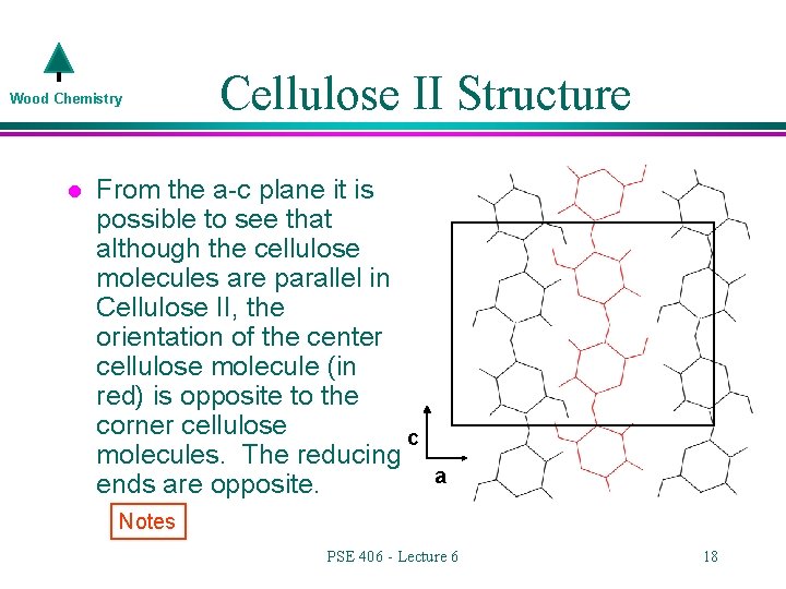 Wood Chemistry l Cellulose II Structure From the a-c plane it is possible to