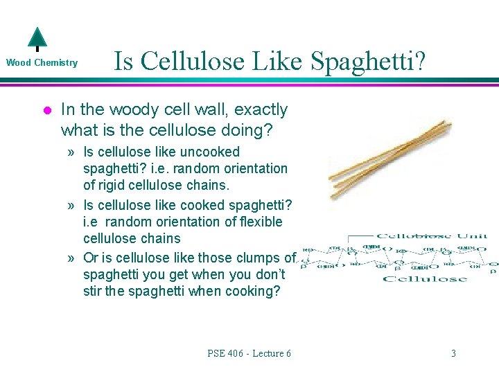 Wood Chemistry l Is Cellulose Like Spaghetti? In the woody cell wall, exactly what