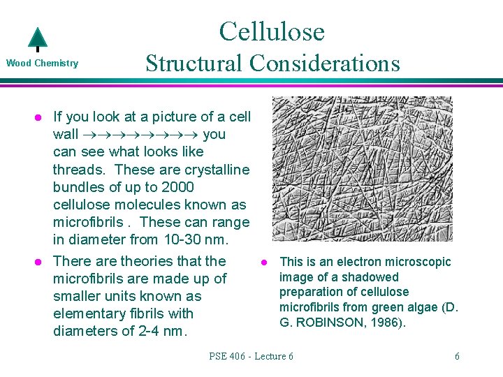 Cellulose Wood Chemistry l l Structural Considerations If you look at a picture of