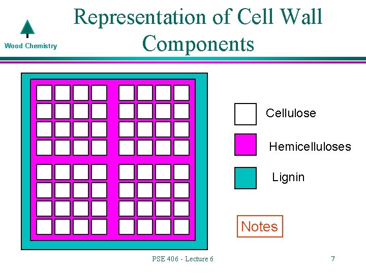 Wood Chemistry Representation of Cell Wall Components Cellulose Hemicelluloses Lignin Notes PSE 406 -