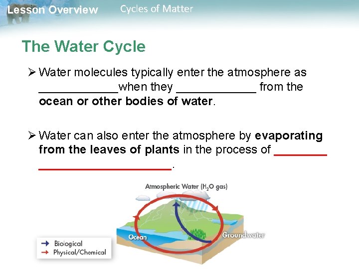 Lesson Overview Cycles of Matter The Water Cycle Ø Water molecules typically enter the