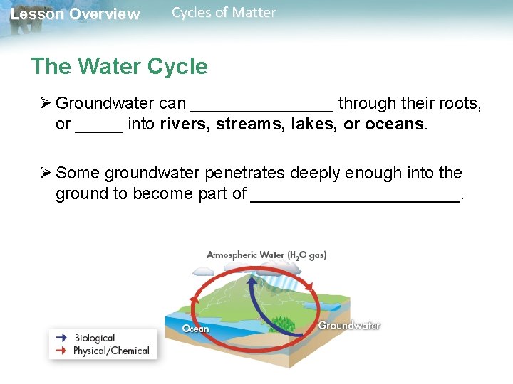 Lesson Overview Cycles of Matter The Water Cycle Ø Groundwater can ________ through their