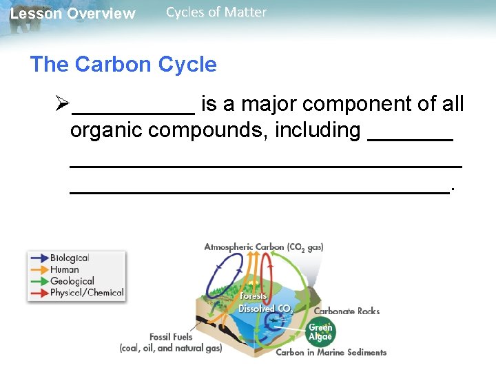 Lesson Overview Cycles of Matter The Carbon Cycle Ø_____ is a major component of
