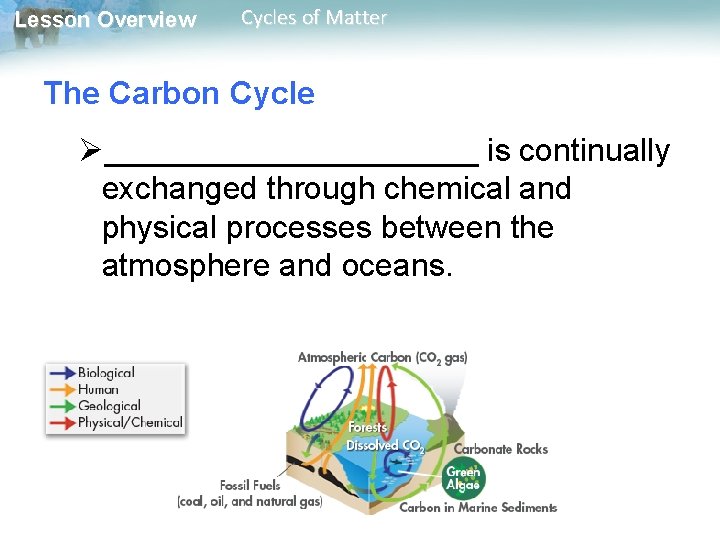 Lesson Overview Cycles of Matter The Carbon Cycle Ø___________ is continually exchanged through chemical