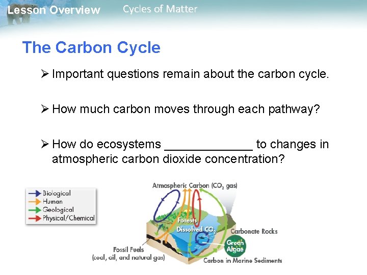 Lesson Overview Cycles of Matter The Carbon Cycle Ø Important questions remain about the