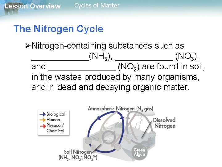 Lesson Overview Cycles of Matter The Nitrogen Cycle ØNitrogen-containing substances such as ______(NH 3),