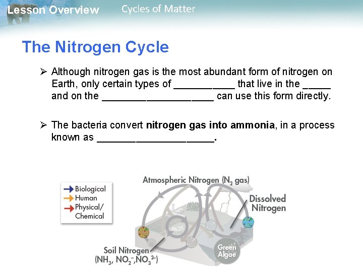 Lesson Overview Cycles of Matter The Nitrogen Cycle Ø Although nitrogen gas is the