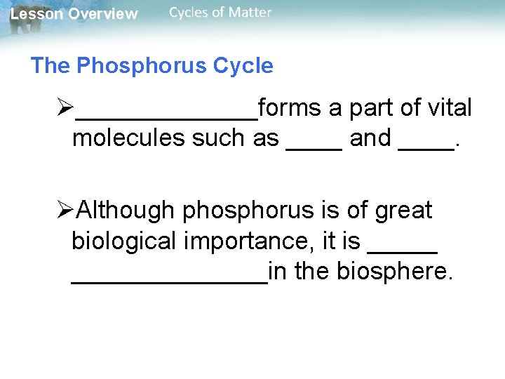Lesson Overview Cycles of Matter The Phosphorus Cycle Ø_______forms a part of vital molecules