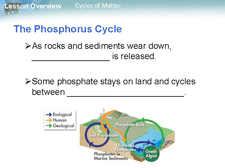 Lesson Overview Cycles of Matter The Phosphorus Cycle ØAs rocks and sediments wear down,