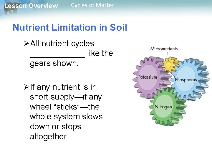 Lesson Overview Cycles of Matter Nutrient Limitation in Soil ØAll nutrient cycles ______ like