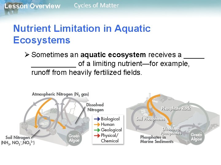 Lesson Overview Cycles of Matter Nutrient Limitation in Aquatic Ecosystems Ø Sometimes an aquatic