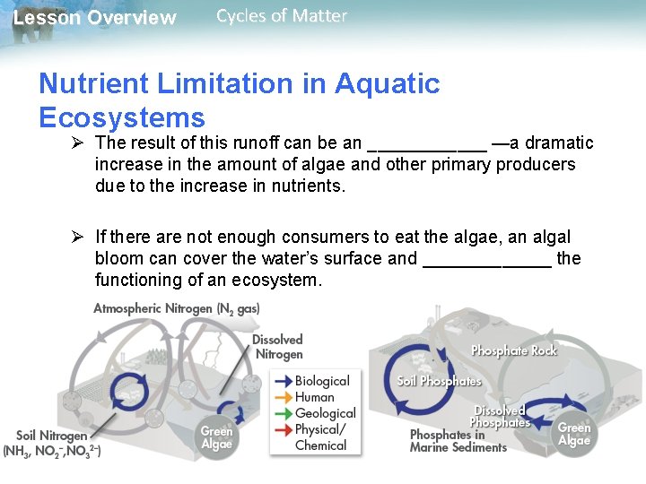 Lesson Overview Cycles of Matter Nutrient Limitation in Aquatic Ecosystems Ø The result of