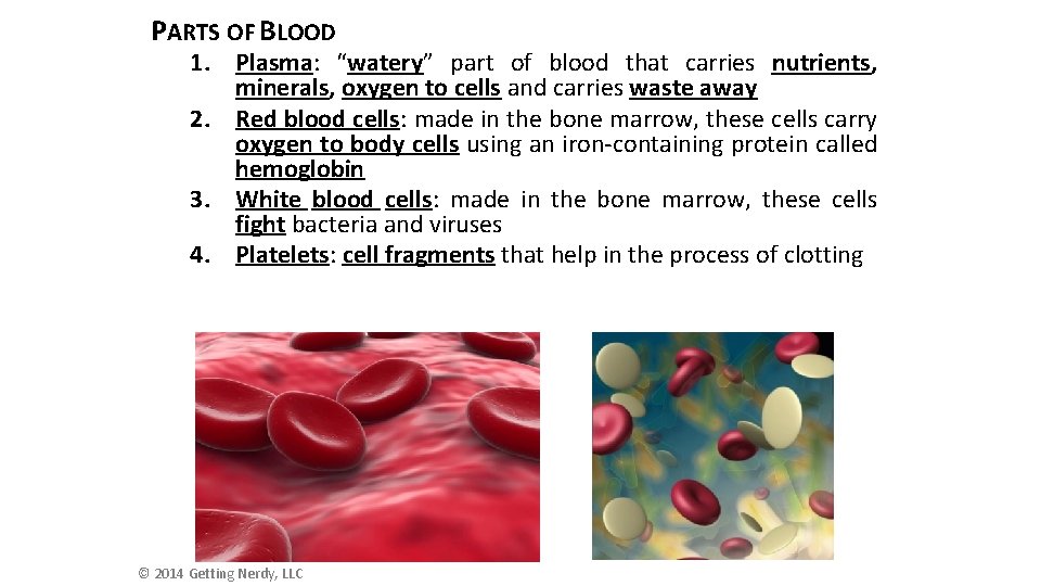 PARTS OF BLOOD 1. Plasma: “watery” part of blood that carries nutrients, minerals, oxygen