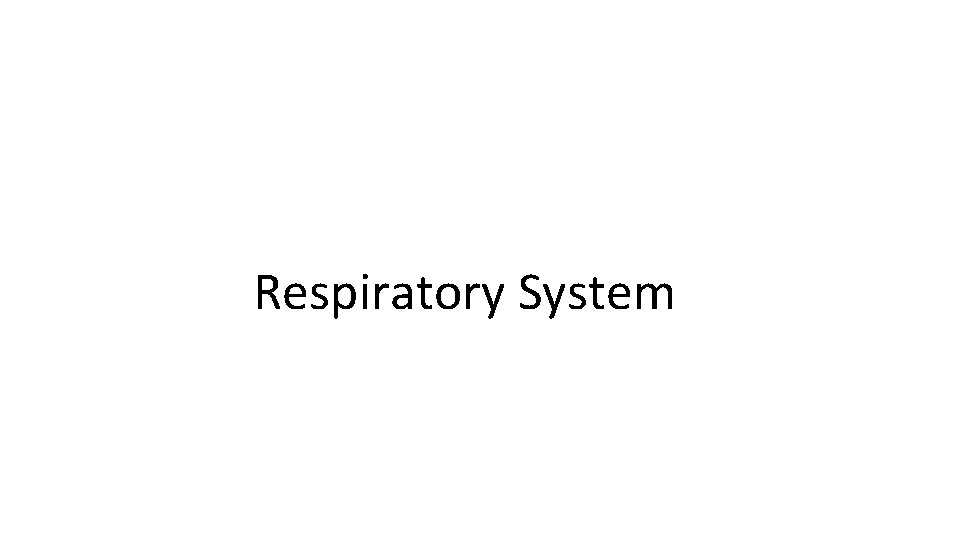 Respiratory System 