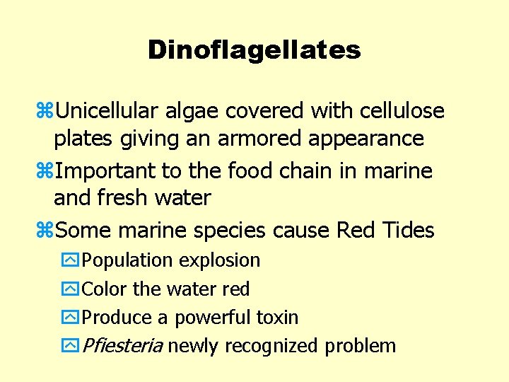 Dinoflagellates z. Unicellular algae covered with cellulose plates giving an armored appearance z. Important