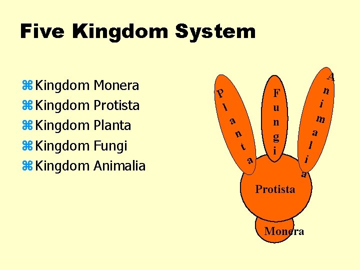 Five Kingdom System z Kingdom z Kingdom Monera Protista Planta Fungi Animalia P l