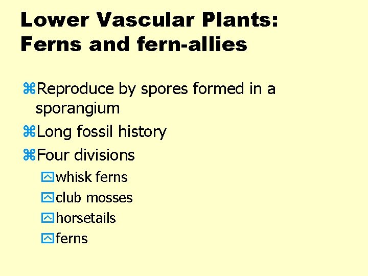 Lower Vascular Plants: Ferns and fern-allies z. Reproduce by spores formed in a sporangium