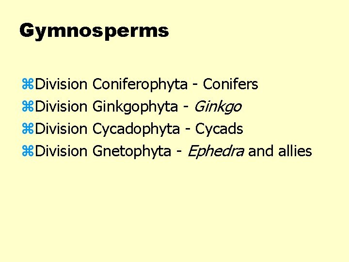 Gymnosperms z. Division Coniferophyta - Conifers Ginkgophyta - Ginkgo Cycadophyta - Cycads Gnetophyta -