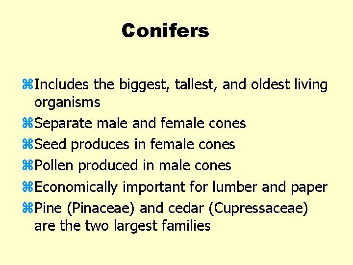 Conifers z. Includes the biggest, tallest, and oldest living organisms z. Separate male and