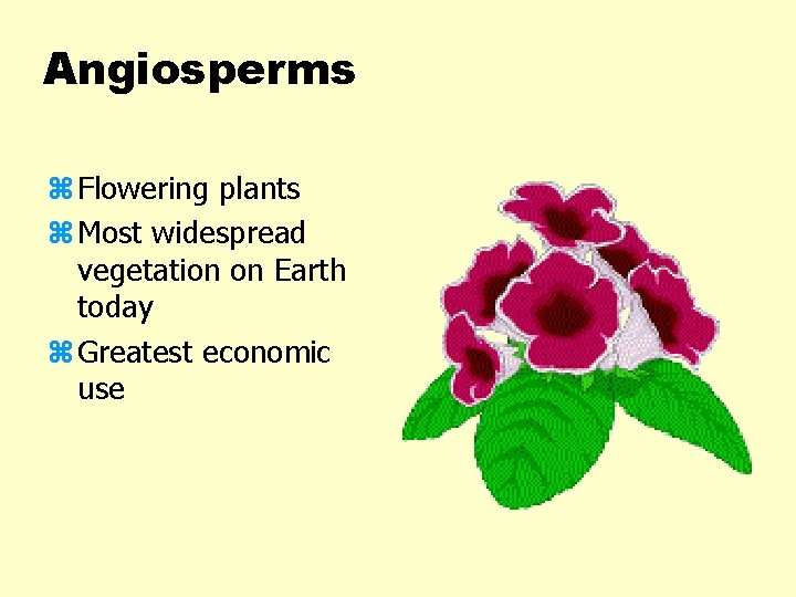 Angiosperms z Flowering plants z Most widespread vegetation on Earth today z Greatest economic