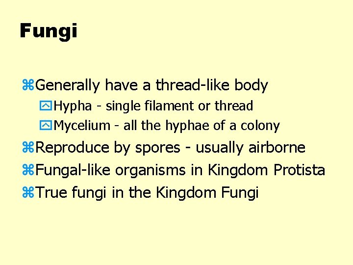 Fungi z. Generally have a thread-like body y. Hypha - single filament or thread