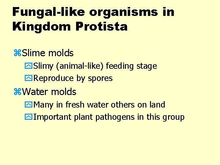 Fungal-like organisms in Kingdom Protista z. Slime molds y. Slimy (animal-like) feeding stage y.