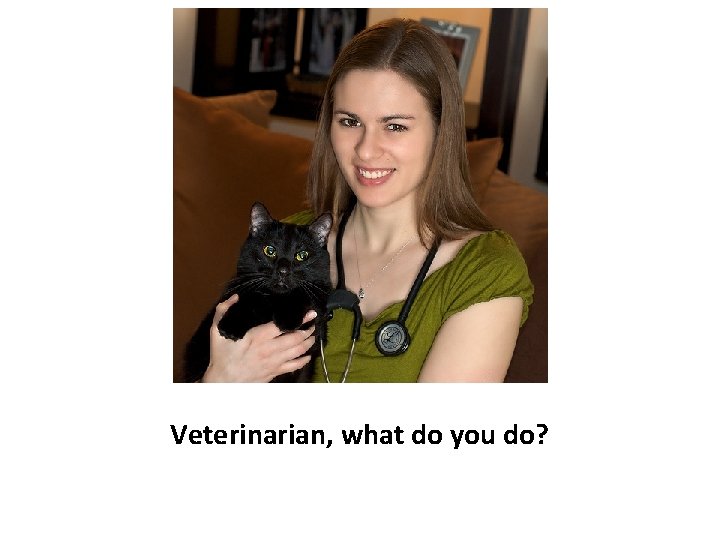 Veterinarian, what do you do? 