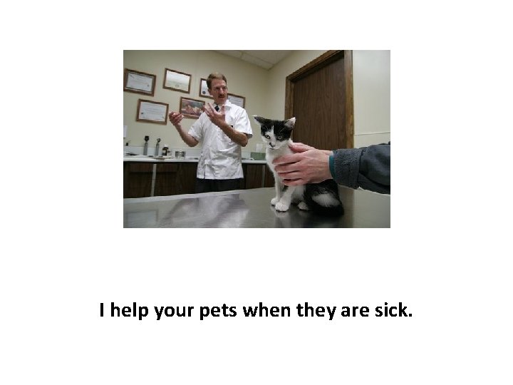 I help your pets when they are sick. 