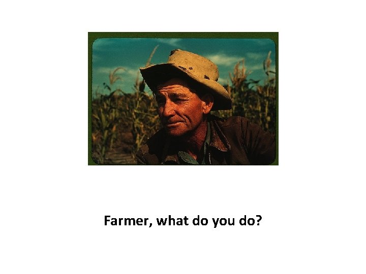 Farmer, what do you do? 