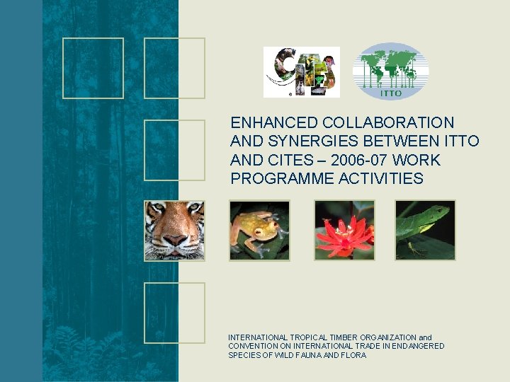 ENHANCED COLLABORATION AND SYNERGIES BETWEEN ITTO AND CITES – 2006 -07 WORK PROGRAMME ACTIVITIES
