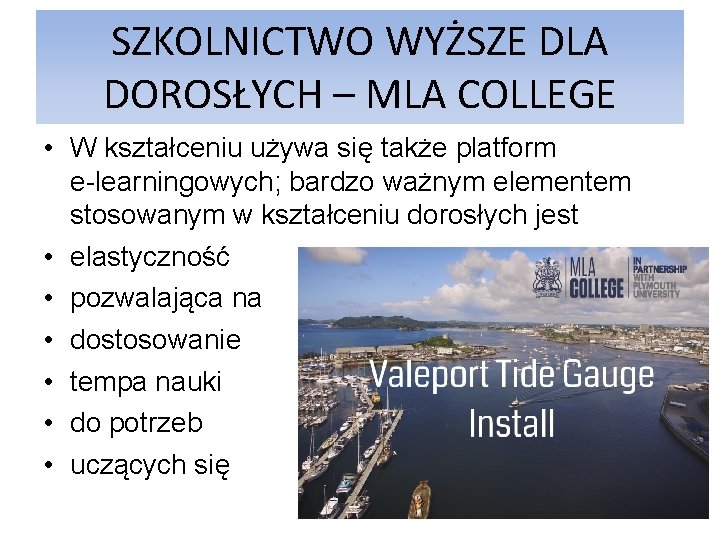 SZKOLNICTWO WYŻSZE DLA DOROSŁYCH – MLA COLLEGE • W kształceniu używa się także platform