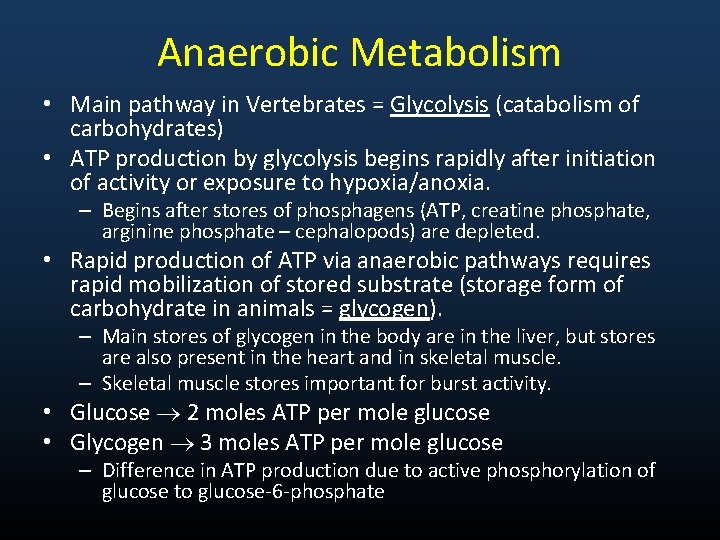 Anaerobic Metabolism • Main pathway in Vertebrates = Glycolysis (catabolism of carbohydrates) • ATP
