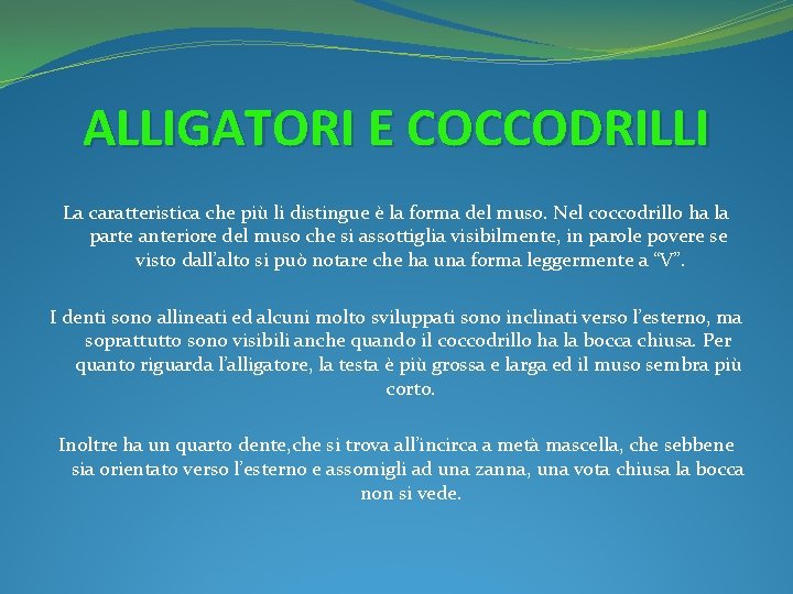 ALLIGATORI E COCCODRILLI La caratteristica che più li distingue è la forma del muso.